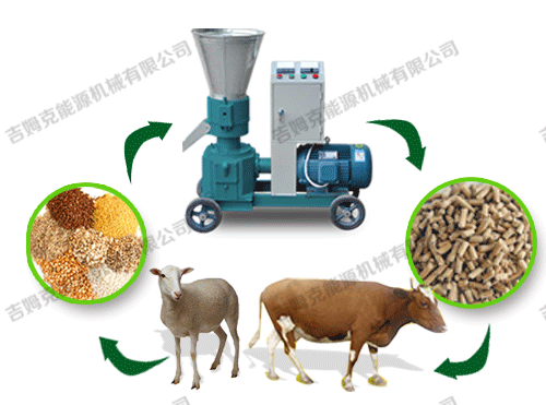 顆粒機(jī)、動物、顆粒