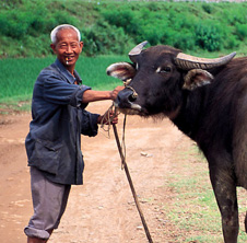 小型飼料顆粒機(jī),農(nóng)民圓夢(mèng)！